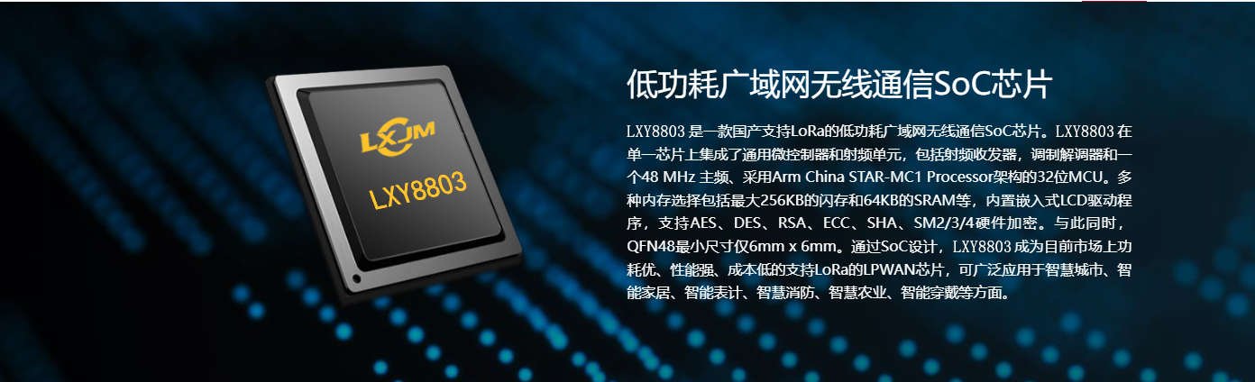 LXY8803